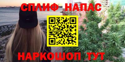 стаф Аша