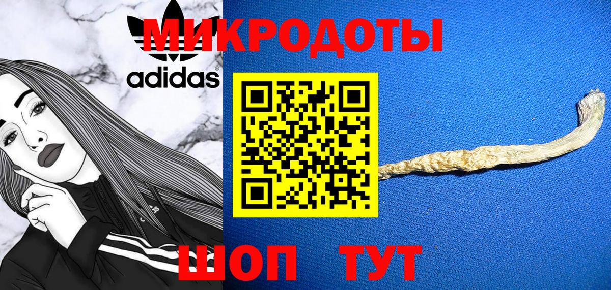 Галлюциногенные грибы мухоморы Дмитров